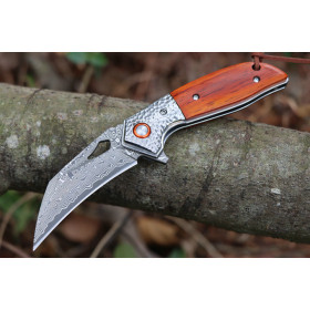 Damascus Steel Eagle Claw Material Karambit Knife Folding Knife UD407699